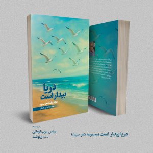 دریا بیدار است (مجموعه شعر سپید)